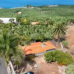 Vila Gorgonia