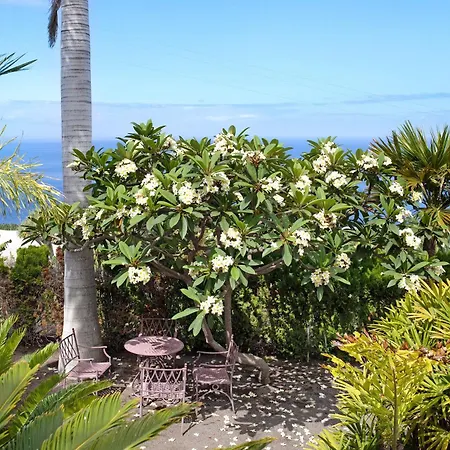 Vila Gorgonia Tijarafe